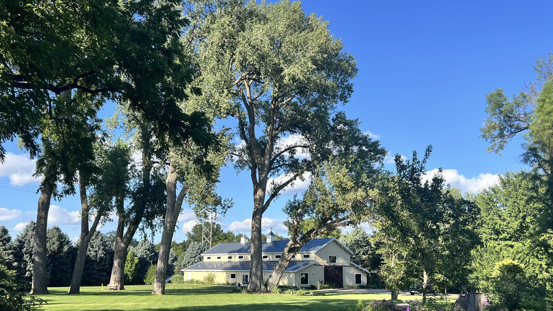 Lilac Hill wedding venue gallery photo 81